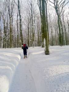 Une longue randonnée à travers la neige.